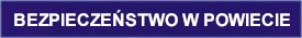 BEZPIECZE�STWO W POWIECIE