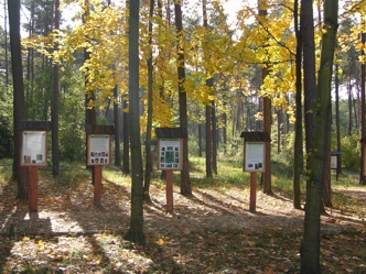 Ścieżka edukacyjna w Nadleśnictwie Spała